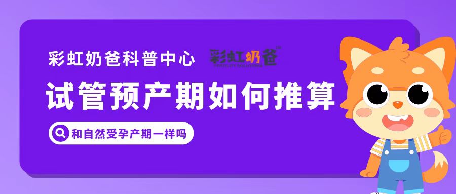 试管婴儿预产期如何推算？和自然受孕有何区别？｜彩虹奶爸